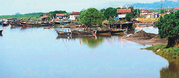 रायगड जिल्ह्यात बेसुमार मासेमारी
