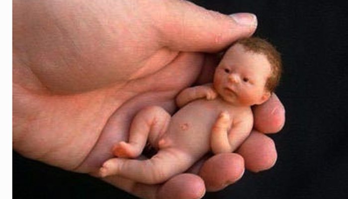 तळहातांत समावून जाईल एवढ्याशा बाळानं घेतलाय जन्म…