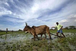 कर्जमाफीचा निर्णय १५ जूनपर्यंत