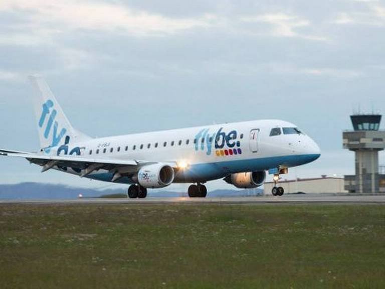 मधमाशीने विमानाला आणलं जेरीस, इमर्जन्सी लँडिंग करण्याची वेळ