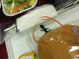 ‘एअर इंडिया’च्या जेवणात पाल