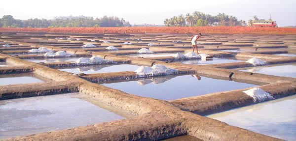 आता मिठागराच्या जागेवर सरकारचा डोळा