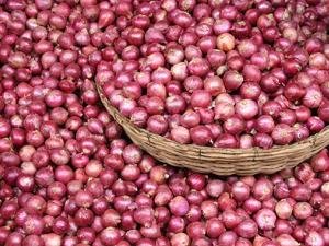 नाशिकचा कांदा थेट बांगलादेशात!