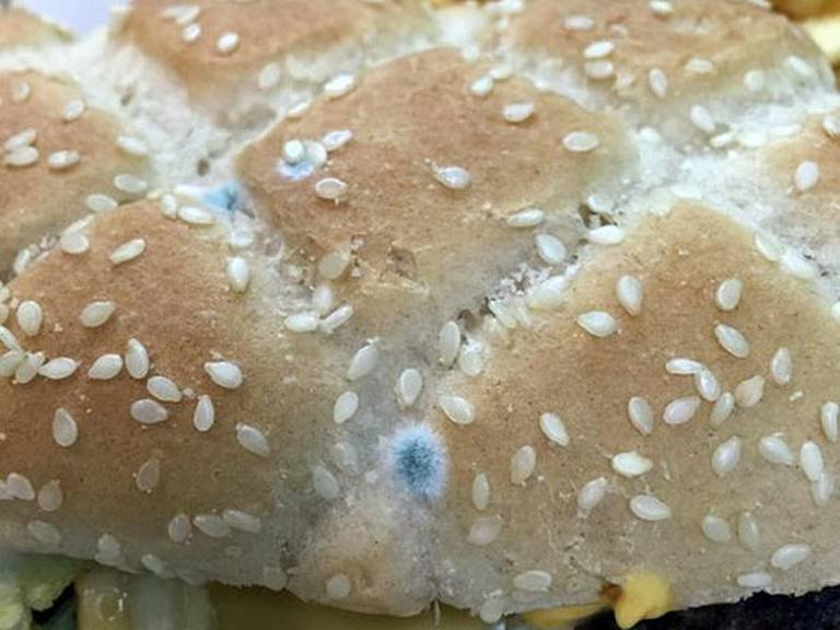 मॅकडॉनल्ड्समधील धक्कादायक प्रकार, ग्राहकाला दिला ‘बुरशी लागलेला बर्गर’