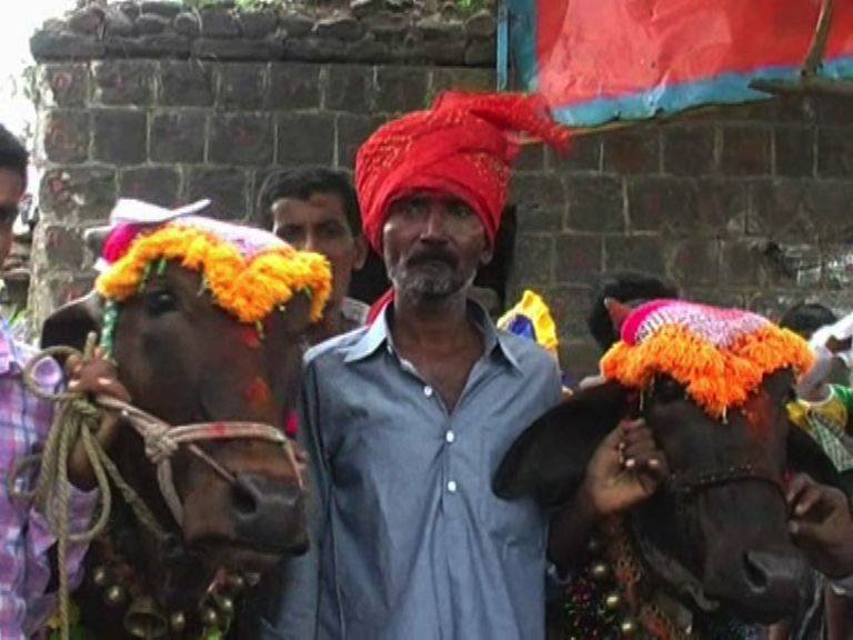 ‘गं… कुणी तरी येणार.. येणार गं’, धुमधडाक्यात गाईचे डोहाळे जेवण!  