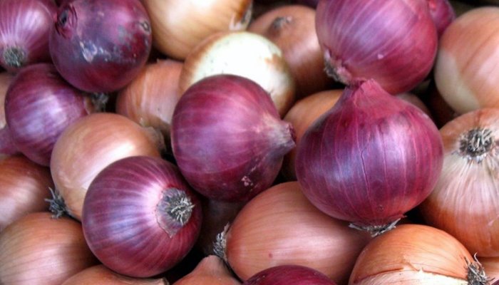 कांद्याचे निर्यातमूल्य कमी करणार : सहकारमंत्री