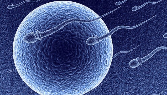 वंध्यत्व आणि मुरूम येण्याचं कारण 