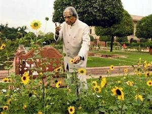 कलामांच्या नावावर काहीही मालमत्ता नाही!