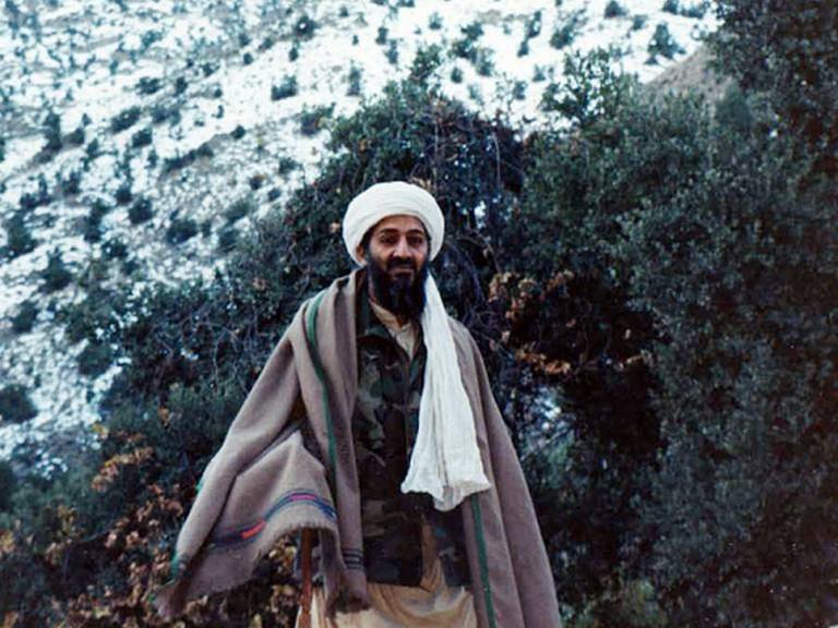 लादेनचे नातेवाईक विमान अपघातात ठार