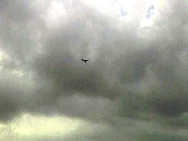 औरंगाबादनंतर आता पुण्यात कृत्रिम पावसाचा प्रयोग