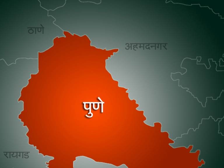 पुण्यातील मंचरमध्ये पिसाळलेल्या कुत्र्याचा 42 जणांना चावा