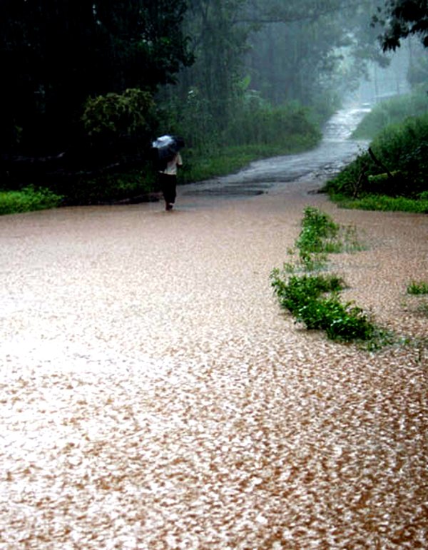 उत्तर महाराष्ट्र, मराठवाडा, विदर्भात मुसळ’धार’