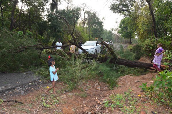 रत्नागिरीसह सिंधुदुर्गमध्ये गारांचा पाऊस
