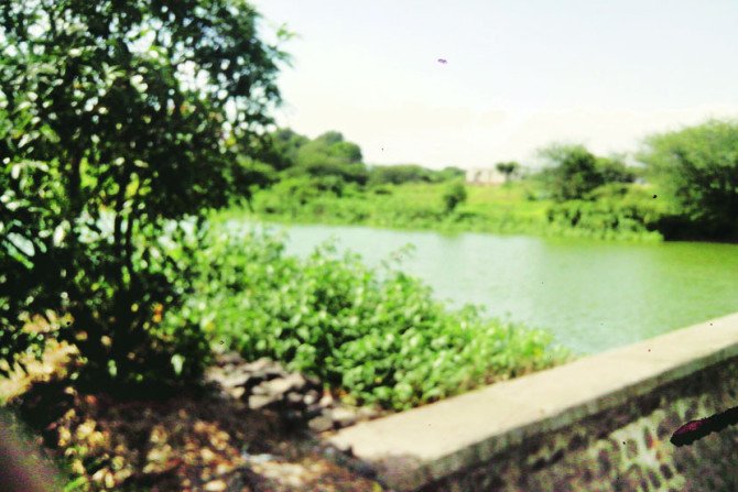 कोयनेचे पाणी मुंबईला देण्यास विरोध