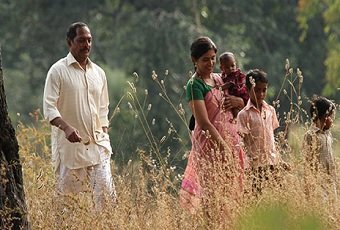 ऑस्कर स्पर्धेत ‘हेमलकसा’ चित्रपट