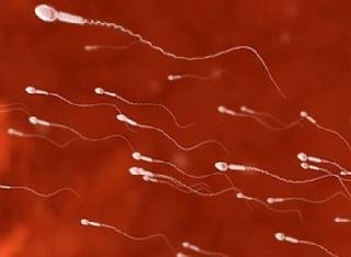 मोबाईल फोन खिशात ठेवल्याने शुक्राणू नष्ट होण्याचा धोका