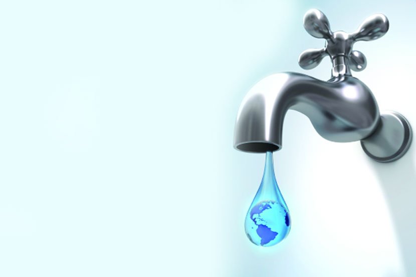 चारा-पाण्याच्या शोधात शेळ्या-मेंढय़ांचे स्थलांतर