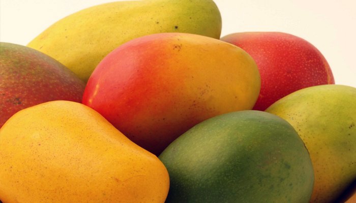 कोकणात हापूसच्या नावाखाली ‘कानडी’ बनवाबनवी