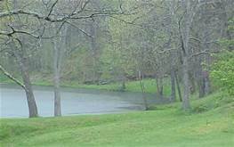 जिल्ह्यात अतिवृष्टी; धुवाँधार  पाऊस