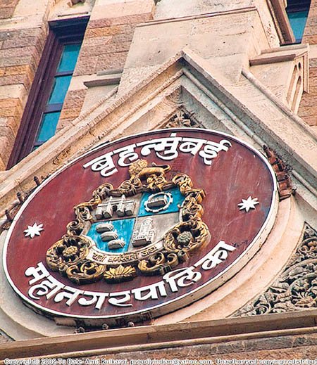 आता नगरसेवकांनाही हवी पगारवाढ