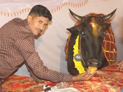 गायीचा वाढदिवस थाटात साजरा