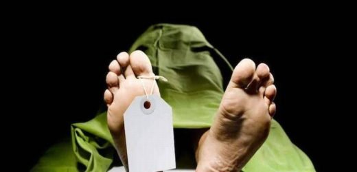 मोबाइलमध्ये मृत्यू कसा होतो पाहिलं अन् विद्यार्थ्याने…;