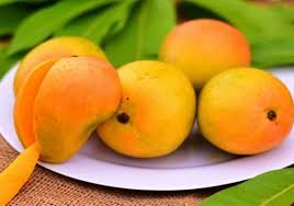 हापूस आंबा मुंबईत दाखल