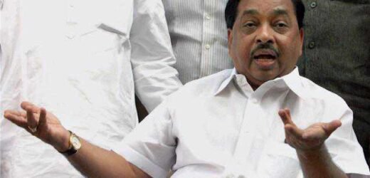 नारायण राणेंची मुख्यमंत्र्यांबद्दल आक्षेपार्ह भाषा; राष्ट्रवादी भडकली!