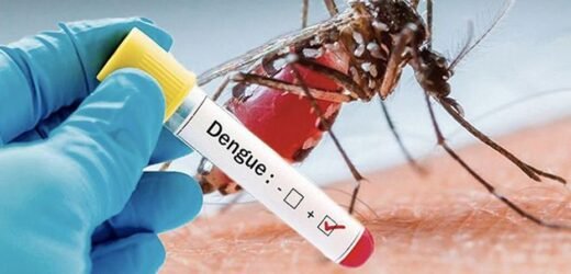 मुंबईत डेंग्यू मलेरियासह पावसाळी आजारांचं संकट