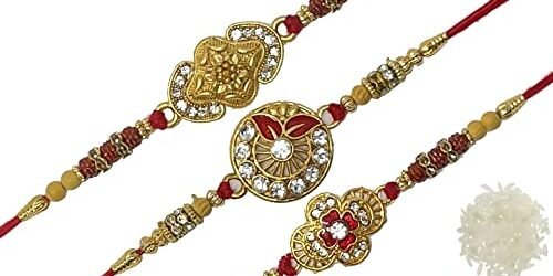 पोस्टमनने पोहोचवल्या ३ हजारांवर राख्या!