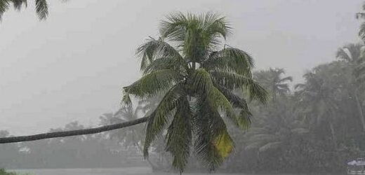 राज्यात अनेक ठिकाणी जोरदार पाऊस