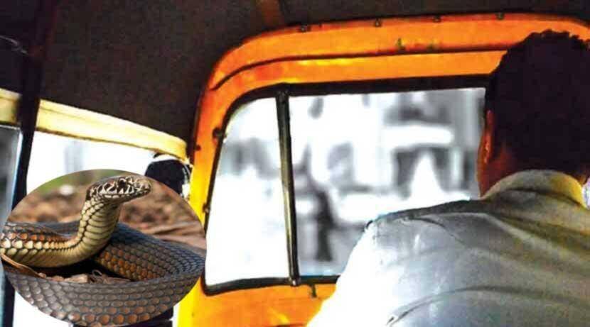 खड्डय़ाच्या दणक्यामुळे पिशवीतला साप बाहेर आल्याने धावत्या रिक्षाला अपघात