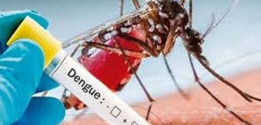 मुंबईला डेंग्यूचा ‘ताप’