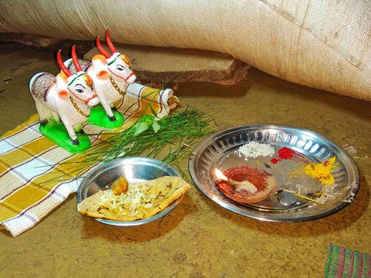 नागपुरात यंदाही मोठा आणि तान्हा पोळा भरणार नाही