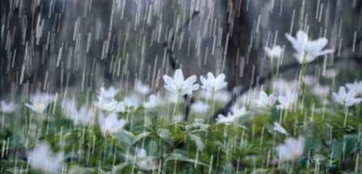 पुढील 24 तासांत राज्यात मुसळधार पावसाचा इशारा