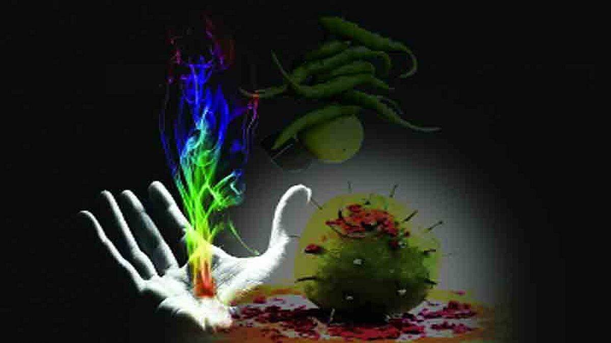 जादूटोणा विरोधी कायदा अधिक कठोर करावा, अंनिसची मागणी