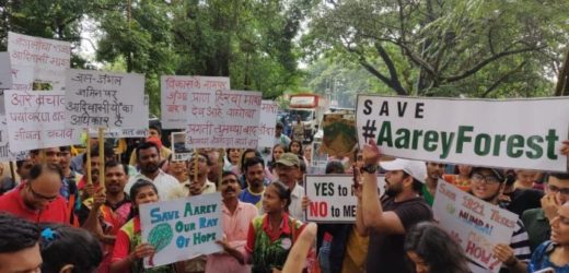 Maharashtra Govt to declare 600 acres of Aarey as reserve forest