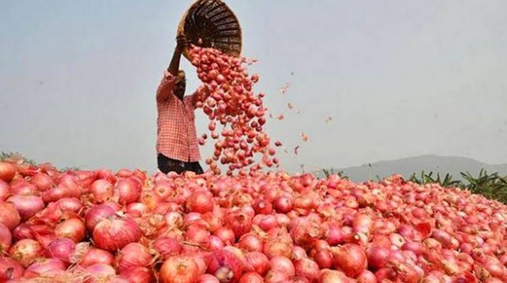 Onion Prices Chopped Down Before Diwali, Rise Expected Before Late ...