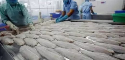 Covid-19: China Detects virus on more fish exports from india