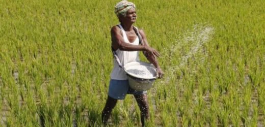 To recover from monsoon losses, Maharashtra government announces package for farmers.