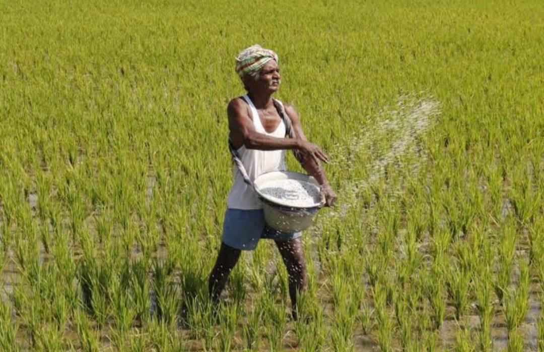 To recover from monsoon losses, Maharashtra government announces package for farmers.