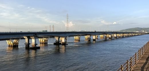 Construction of New Vashi Bridge will result in cutting of 1.5 hectares mangroves and affect flamingo sanctuary.