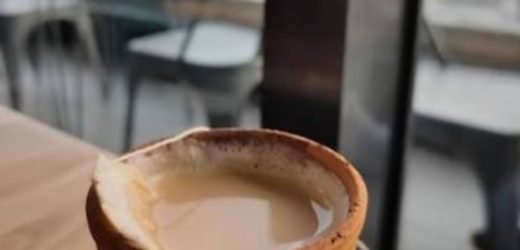 Eco-friendly ‘Kulhads’ to replace plastic tea cups at railway stations: Piyush Goyal