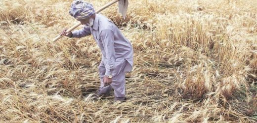 Cabinet nod to loan renunciation for 9 lakh farmers: Jharkhand