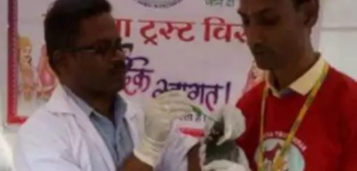 Bird rescue camps to be set up in Mumbai during Makar Sankranti