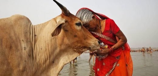 Exam on ‘COW SCIENCE’ to be held on 25th February announces Rashtriya Kamdhenu Aayog