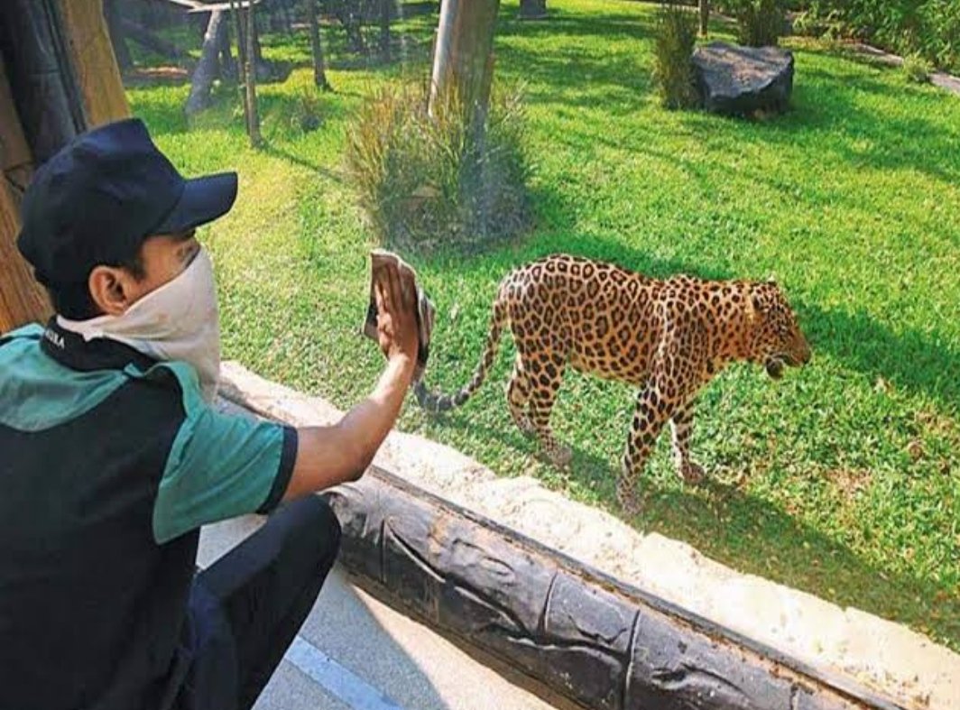 Byculla zoo set to reopen from February 15.