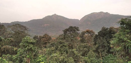 Centre grants clearances to 140 hectares of forest land for Goa projects