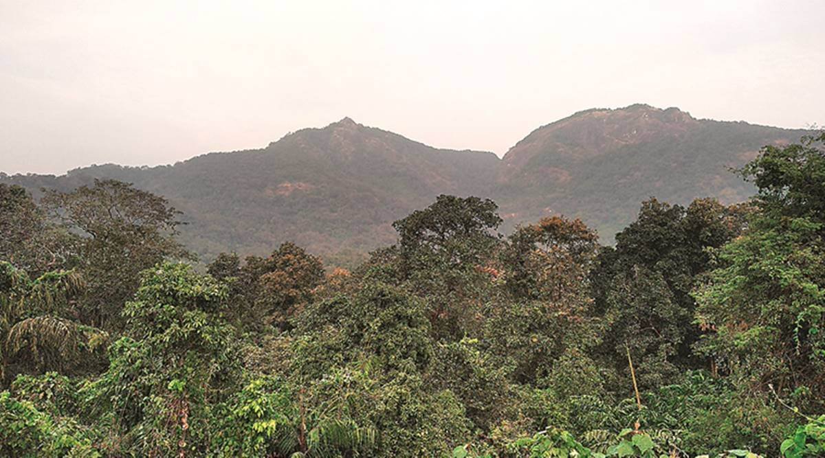 Centre grants clearances to 140 hectares of forest land for Goa projects