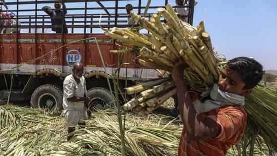 Govt building ‘agri stack’ to give unique ID to every Indian farmer